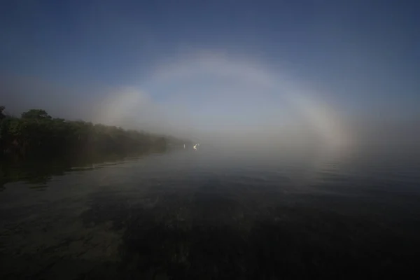 Brouillard lumineux dans Bear Cut, Key Biscayne, Floride . — Photo