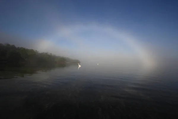 Brouillard lumineux dans Bear Cut, Key Biscayne, Floride . — Photo