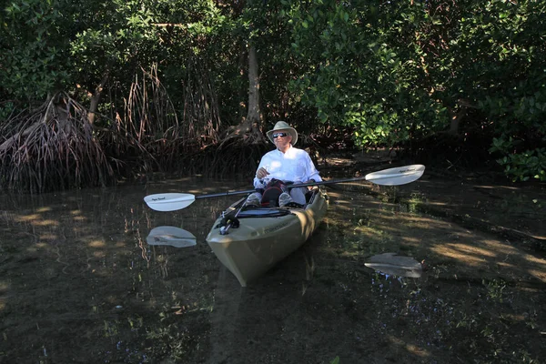 Mangrov ağaçlar dinlenme kanocu.