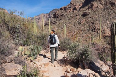 Kadın Pima Canyon iz, Arizona hiking.