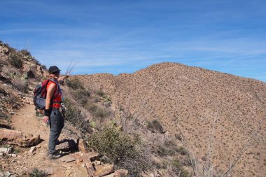 Kral Kanyonu iz, Arizona hiking kadın.