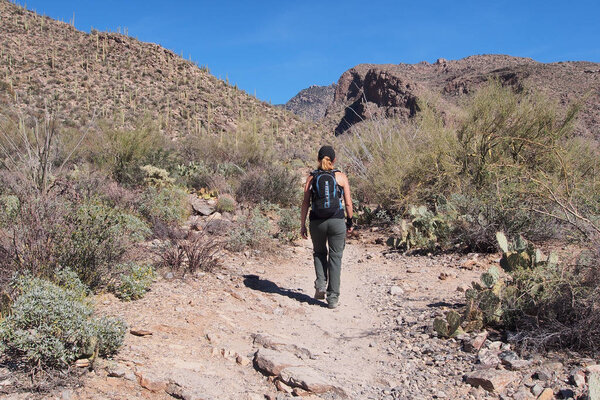 Woman hiking the Pima Canyon Trail, Arizona.