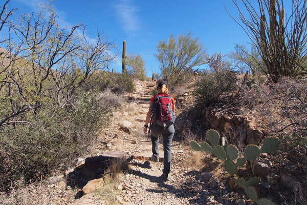 Woman hiking the King Canyon Trail, Arizona.