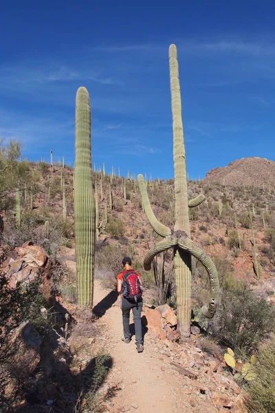 Vrouw wandelen de koning Canyon Trail, Arizona. — Stockfoto