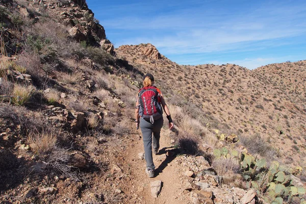 Randonnée pédestre sur le King Canyon Trail, Arizona . — Photo