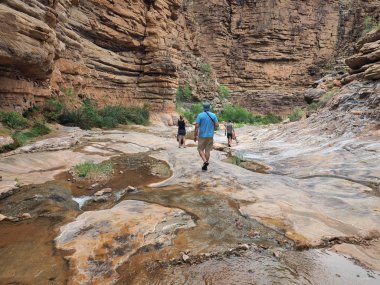 Genç kadın münzevi Creek, Büyük Kanyon Ulusal Parkı.