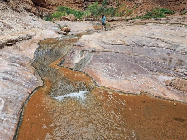 Pustelnik Creek w Park Narodowy Wielkiego Kanionu, Arizona. — Zdjęcie stockowe