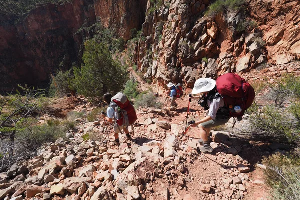 Wandelaars Aflopend de Grandview Trail in de Grand Canyon. — Stockfoto