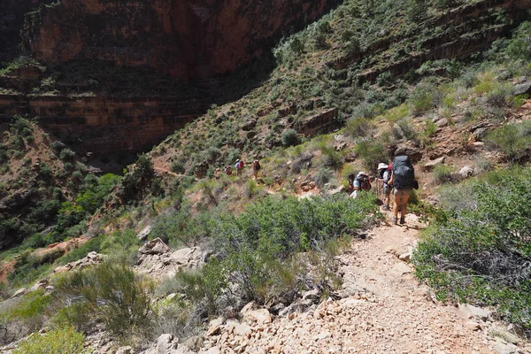 Wandelaars Aflopend de Grandview Trail in de Grand Canyon. — Stockfoto