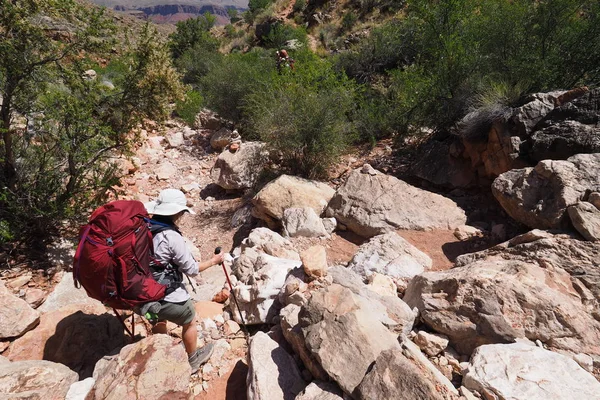 Wandelaars Aflopend de Grandview Trail in de Grand Canyon. — Stockfoto