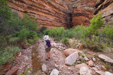 Kadın Hance Creek Büyük Kanyon hiking.