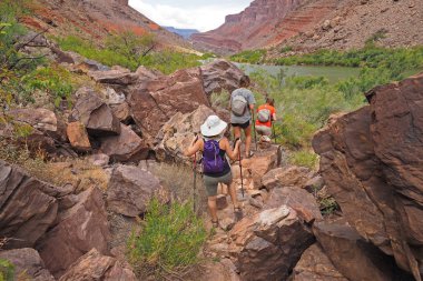 Hikers on a trail by the Colorado River in the Grand Canyon. clipart