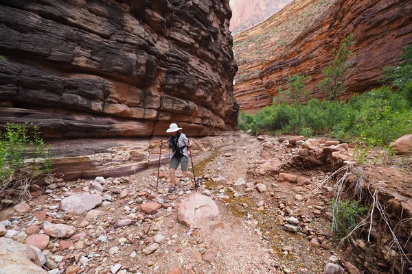 Kobieta w Hance Creek w Grand Canyon. — Zdjęcie stockowe