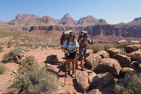 Randonnée pédestre sur le sentier Tonto dans le Grand Canyon . — Photo