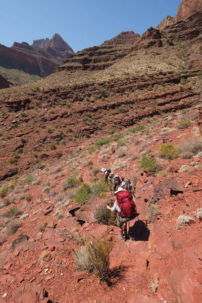 Backpackers malejącej szlaku Tonto w kanionie mineralnych w Grand Canyon National Park. — Zdjęcie stockowe