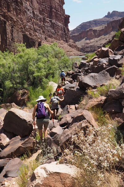 Wandelaars op een parcours door de Colorado rivier in de Grand Canyon. — Stockfoto