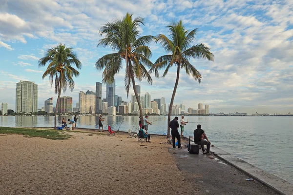 People fishing with the Miami skyline in the background. — Stock Photo, Image