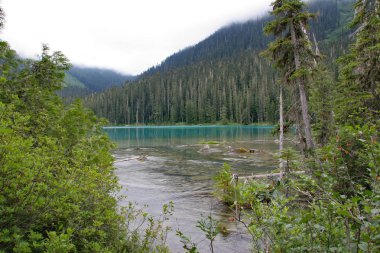 Joffre Lakes Provincial Park, Kanada içinde Lower Joffre Gölü.