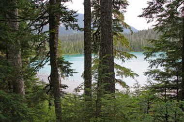 Joffre Lakes Provincial Park, Kanada içinde Lower Joffre Gölü.
