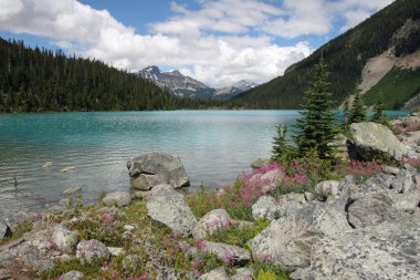 Joffre Lakes Provincial Park 'daki Upper Joffre Gölü, Kanada.