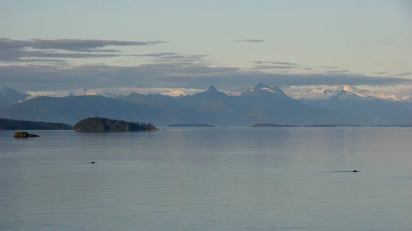 İçinde Passage, Alaska, geç öğleden sonra ışık. — Stok fotoğraf