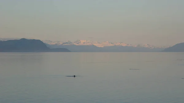 Di dalam Passage, Alaska, di siang hari . — Stok Foto