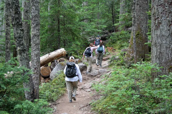 Randonnées en famille dans le parc provincial Joffre Lakes, Canada . — Photo