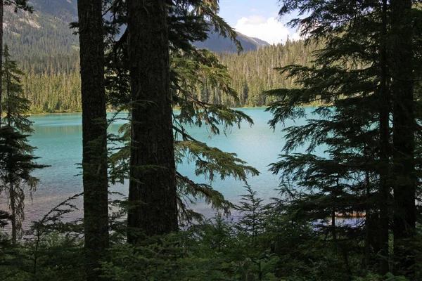 Danau Joffre hilir di Taman Provinsi Joffre Lakes, Kanada . — Stok Foto