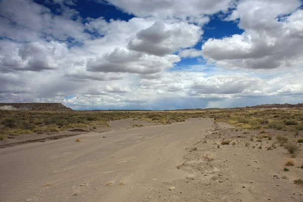 Dry wash in Petrified Forest National Park, Arizona.