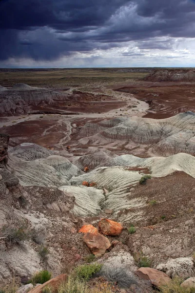 Badlands do deserto pintado em Petrified Forest National Park, Arizona . — Fotografia de Stock