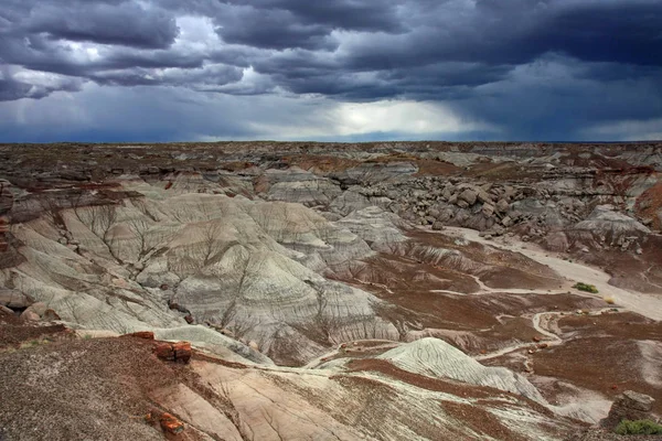 アリゾナ州化石の森国立公園で描かれた砂漠のバッドランズ. — ストック写真