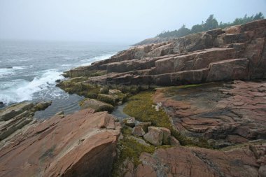 Acadia Milli Parkı, Maine Sisli sabah.