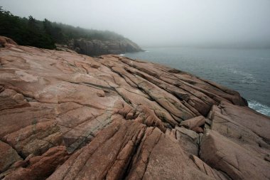 Acadia Milli Parkı, Maine Sisli sabah.