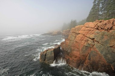 Acadia Milli Parkı, Maine Sisli sabah.
