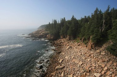 Acadia Milli Parkı 'nın engebeli kıyısı, Maine.