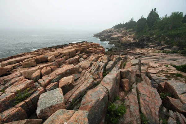 Dimmigt morgon i Acadia National Park, Maine. — Stockfoto