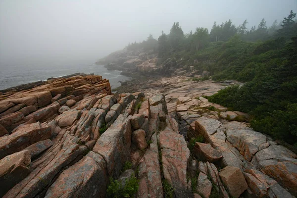 Pagi berkabut di Taman Nasional Acadia, Maine . — Stok Foto