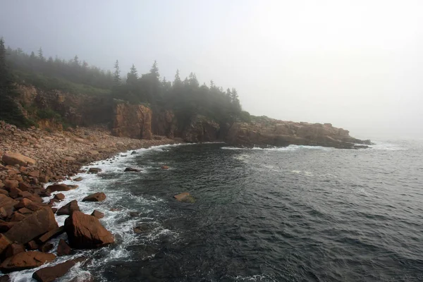 Mañana brumosa en el Parque Nacional Acadia, Maine . — Foto de Stock