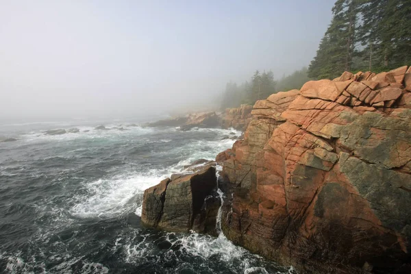 Pagi berkabut di Taman Nasional Acadia, Maine . — Stok Foto