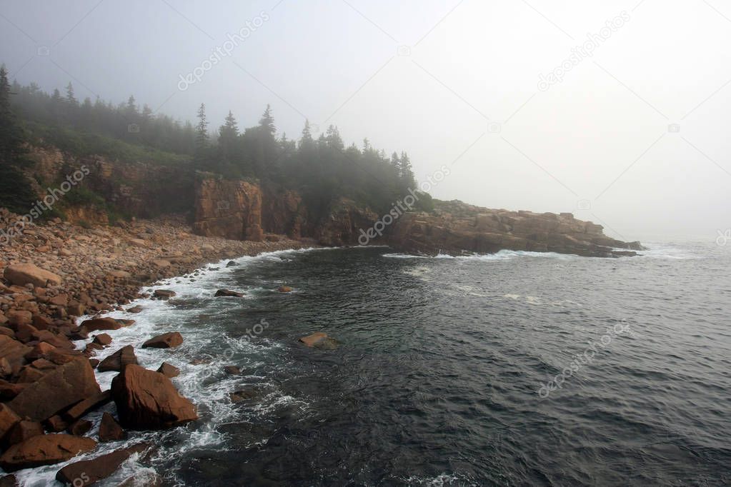 Foggy morning in Acadia National Park, Maine.