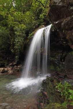 Büyük Dumanlı Dağlar Milli Parkı'ndaki Grotto Şelalesi.