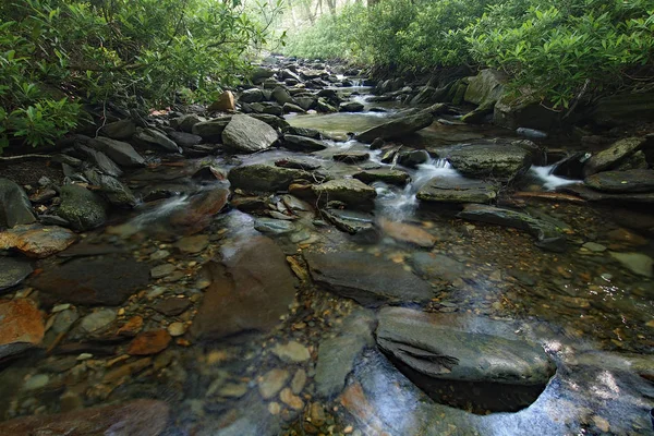 Stream i Great Smoky Mountains nationalpark. — Stockfoto