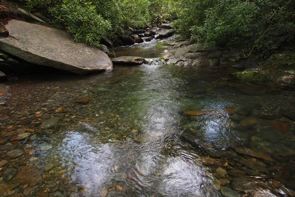Stream in het Great Smoky Mountains National Park. — Stockfoto