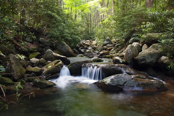 Stream in Great Smoky Mountains National Park. — Stock Photo, Image