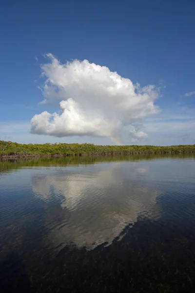 Cloudscape relfected w wodach Parku Narodowego Biscayne, Floryda. — Zdjęcie stockowe