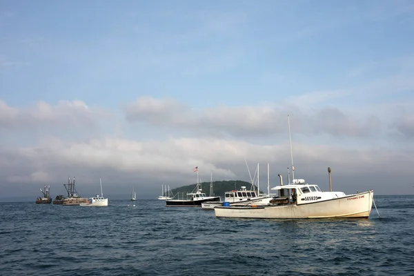 Langostas en Bar Harbor, Maine . — Foto de Stock