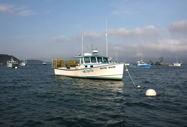 Langostas en Bar Harbor, Maine . — Foto de Stock