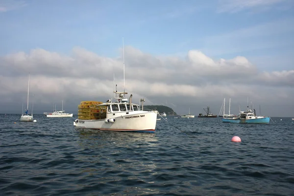 Langostas en Bar Harbor, Maine . — Foto de Stock