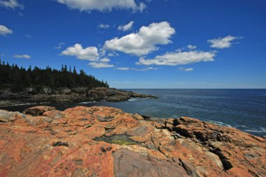 Acadia Milli Parkı 'nın engebeli kıyısı, Maine.