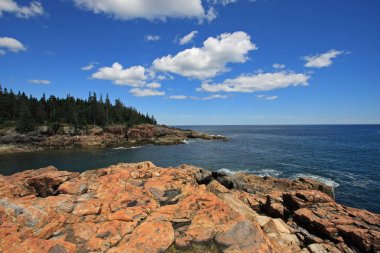 Acadia Milli Parkı 'nın engebeli kıyısı, Maine.